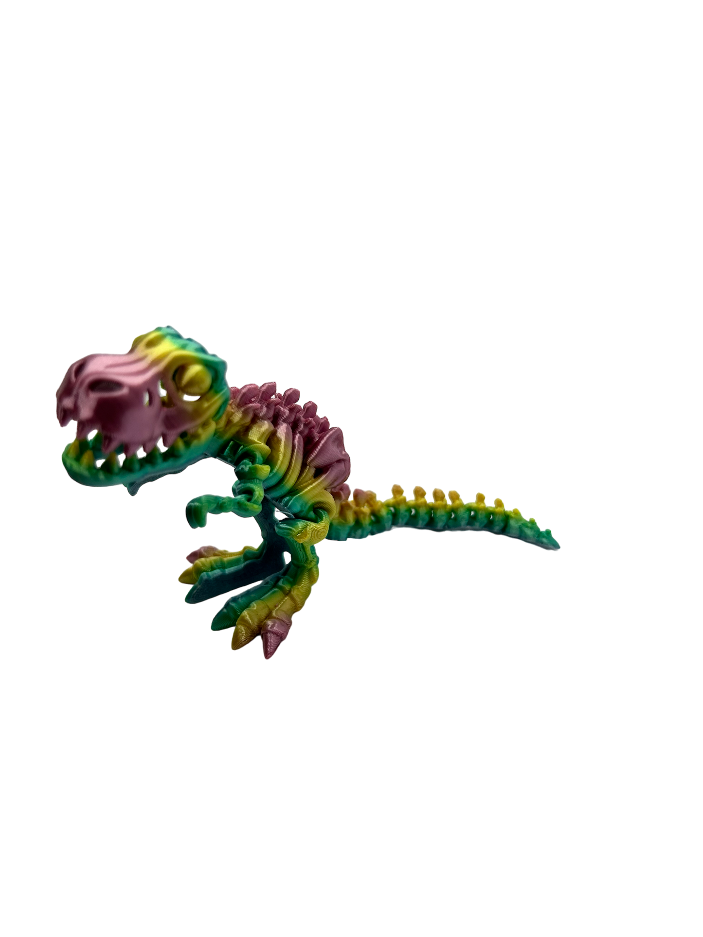 Skele T Rex - Small image 4