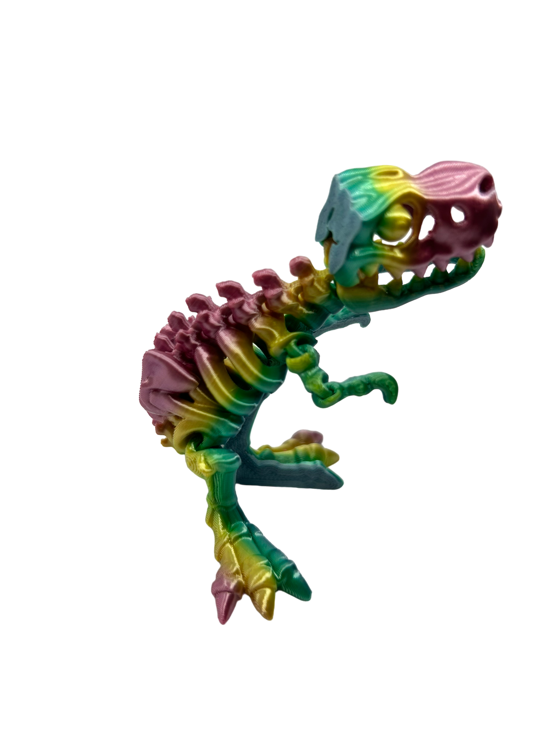 Skele T Rex - Small image 2