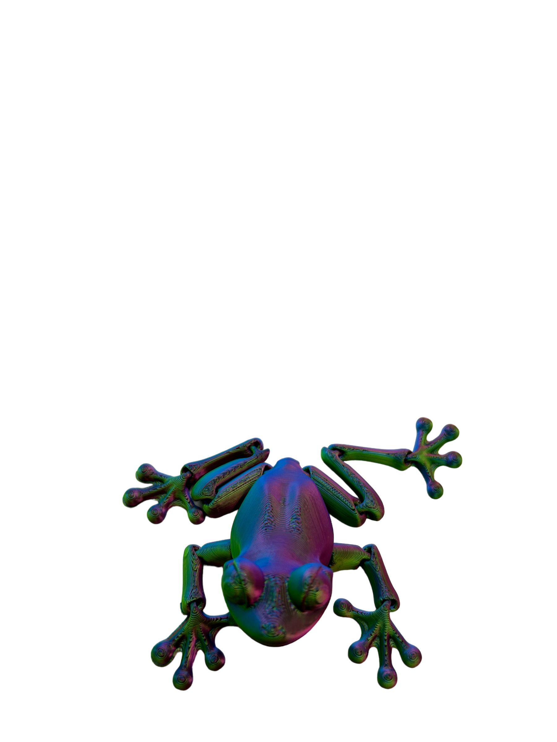 Flexi Frog - Small image 4