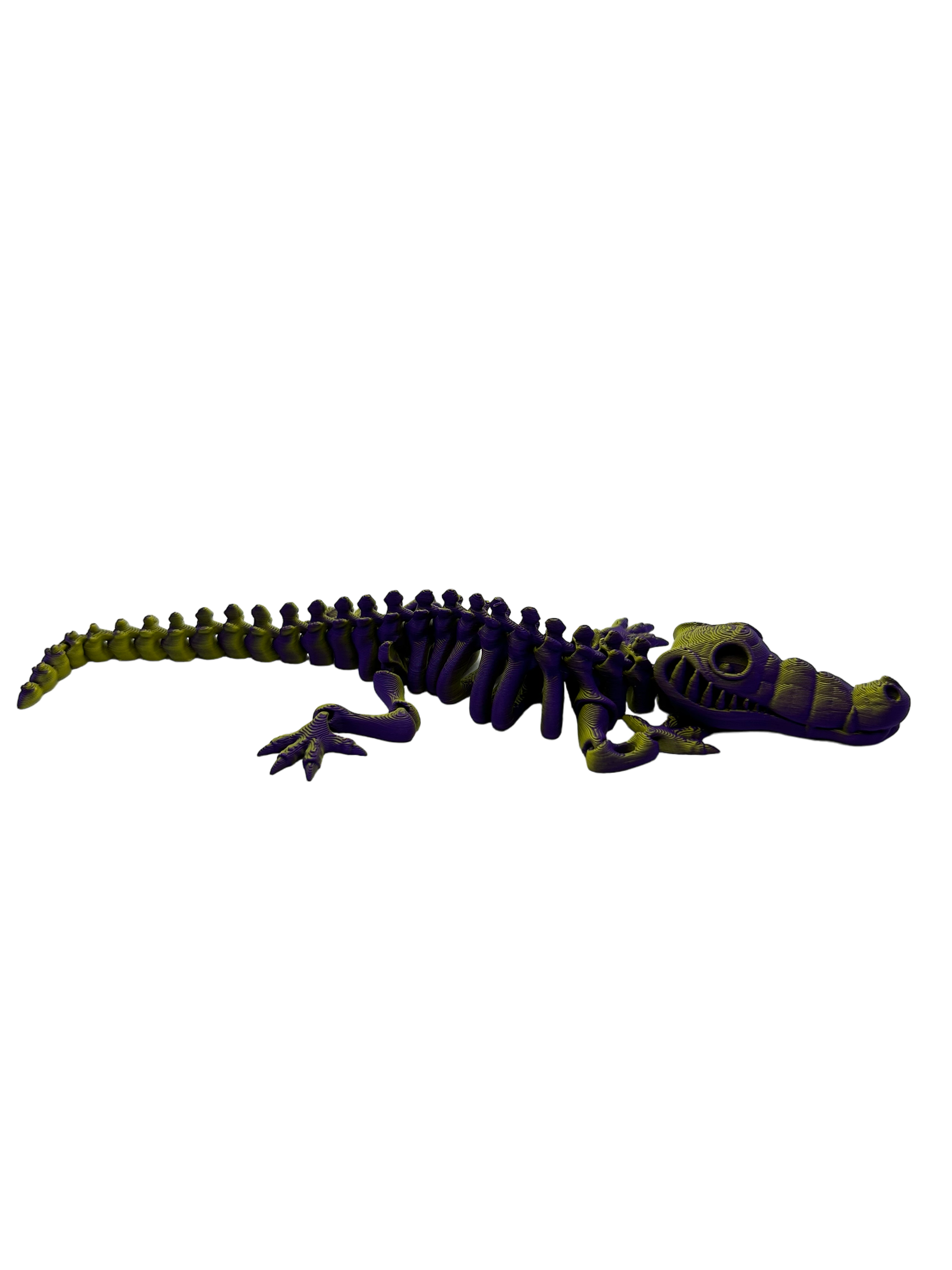 Skele Croc - Small image 2