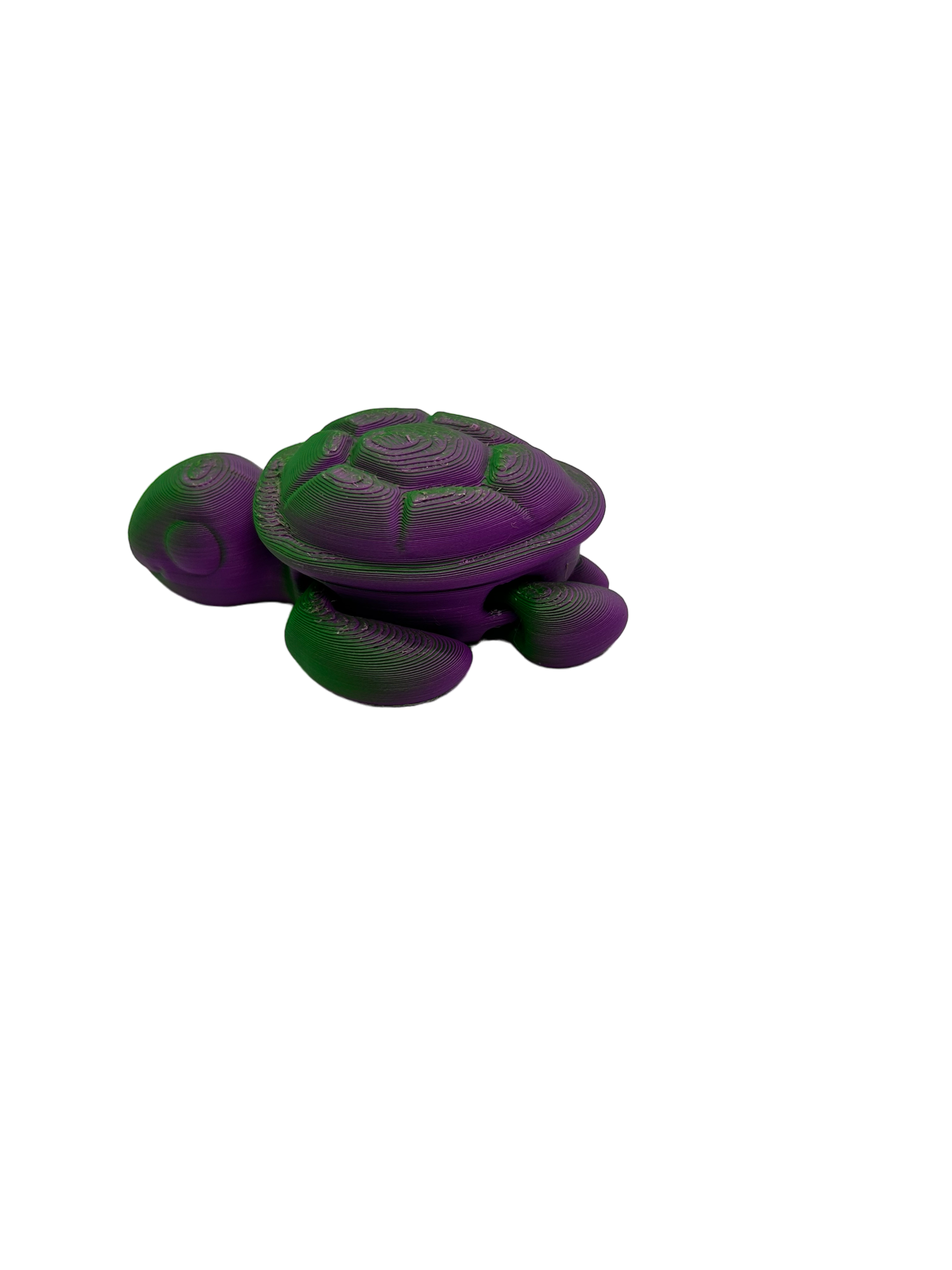 Turtle - Small image 3